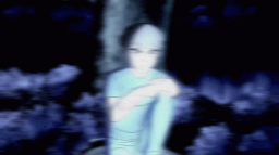 Texshanfor Ferdi Discord Server Banner