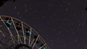 🌺 Discord Server Banner