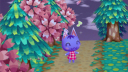 Animal Crossing Discord Server Banner