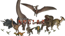 DumbCode Discord Server Banner