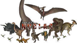 DumbCode Discord Server Banner