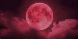 Teriri's Gaming Hub Discord Server Banner
