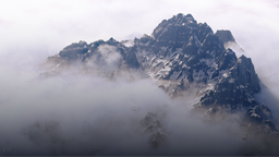 TrueVFX Discord Server Banner