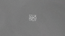 4li Discord Server Banner