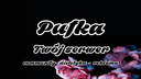 Dietetyczna Pufka™ Discord Server Banner
