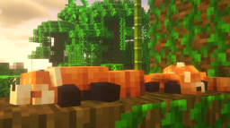 Bonsai Studios π± Discord Server Banner