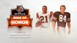 Cincinnati Bengals Discord Server Banner