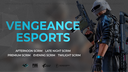 Vengeance Esports Discord Server Banner