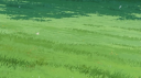 delicate Discord Server Banner