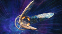 Stellaris Nomadic Discord Discord Server Banner