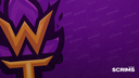 TW Scrims Discord Server Banner