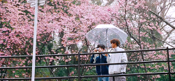 BL Tea Cafe Discord Server Banner
