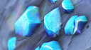 NAPP Community Discord Server Banner