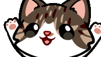 🍩﹒DONANETA 😼 Discord Server Banner