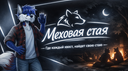 Меховая Стая [FURRY/ФУРРИ] Discord Server Banner