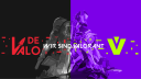 VALORANT DE Discord Server Banner