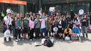AnimeJunkies Discord Server Banner