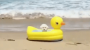 🌷 𝓅𝓁𝓊𝓉𝑜 Discord Server Banner