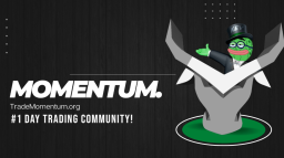 Momentum. Discord Server Banner