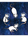 Lost In Space Discord Server Banner