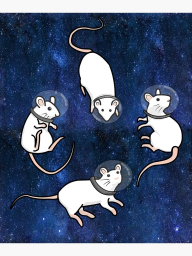 Lost In Space Discord Server Banner