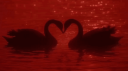 Lover's Arena™ Discord Server Banner