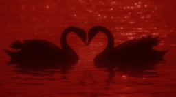 Lover's Arena™ Discord Server Banner