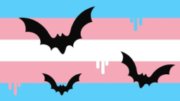 Transit Discord Server Banner