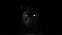 Emmashtream Discord Server Banner