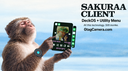 Sakuraa Client Discord Server Banner