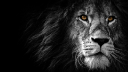LEON SERVER Discord Server Banner