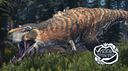 P.E. Discord Server Banner