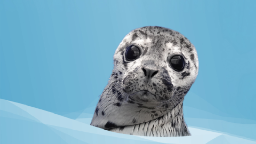 Marine Mammal Rescue Discord Server Banner