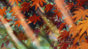 c8qe clan Discord Server Banner
