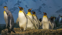 Creative Hub Discord Server Banner