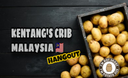 Potato's Crib Malaysia Discord Server Banner