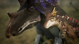 Juniper Arena Discord Server Banner