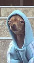 Oh muie que ta lendo Discord Server Banner