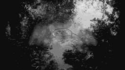 𖤐CR¥ƤŦƗĐ CØNŦΔƗNΜ€NŦ UNƗŦ𖤐 Discord Server Banner