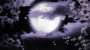 Lune🌙 Discord Server Banner