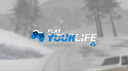 Play Your Life V2 Discord Server Banner