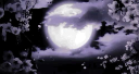 5AM Community Discord Server Banner