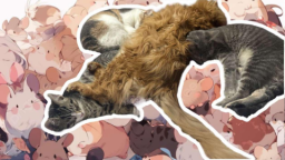 The Hamster Den Discord Server Banner