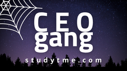 StudyTme Discord Server Banner