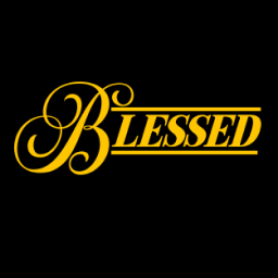 🔰B L Ξ S S Ξ D🔰 Discord Server Banner
