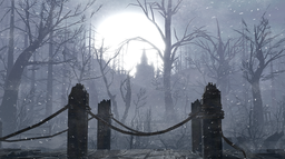 Les Sorcieres Discord Server Banner