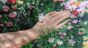 Le Monde Chico 🌴 Discord Server Banner