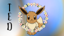 ✮* 𝒯𝒽𝑒 𝐸𝑒𝓋𝑒𝑒 𝒟𝑒𝓃  *✮ Discord Server Banner