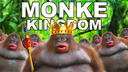 Monkey Kingdom Discord Server Banner
