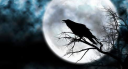 West Coast 🦇 Discord Server Banner